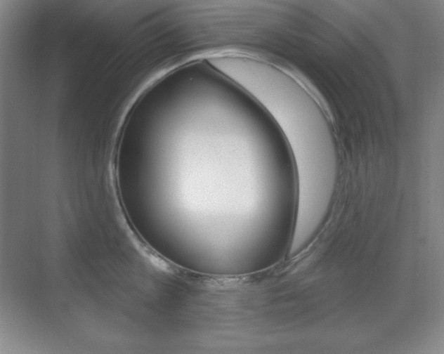 X0000070240813200606020931
