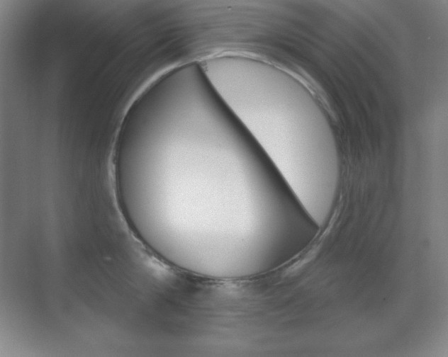 X0000070240814200606020931
