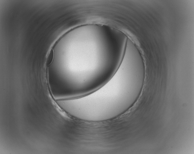 X0000070240816200606020931