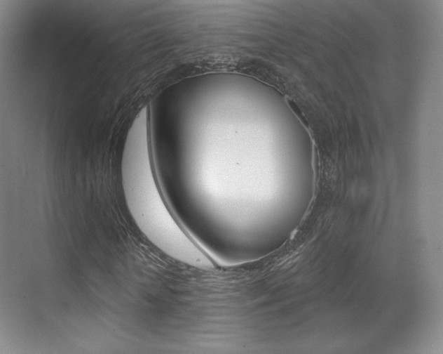 X0000070240818200606020930