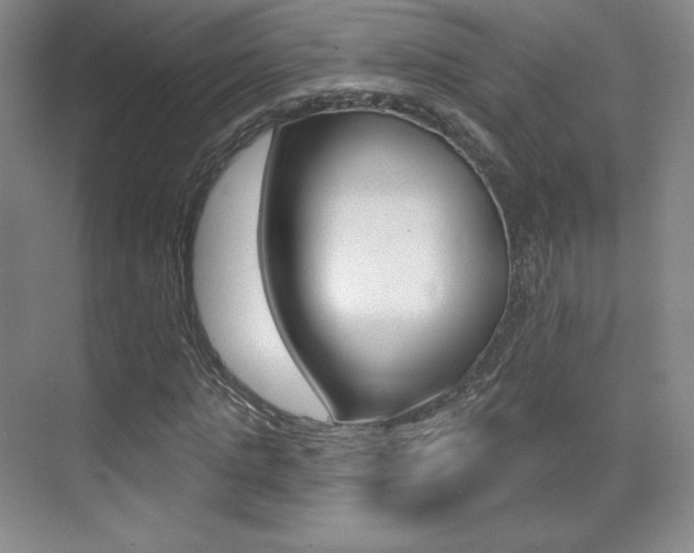 X0000070240821200606020930