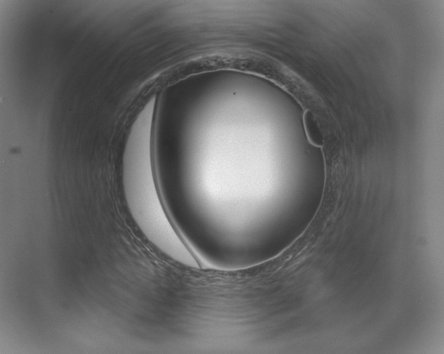 X0000070240822200606020930