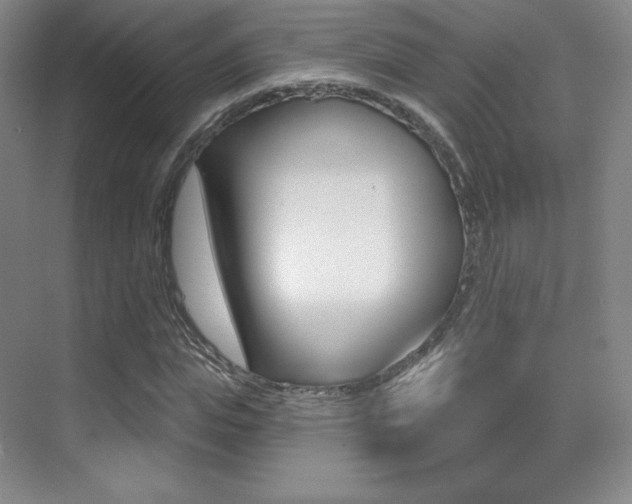 X0000070240823200606020930
