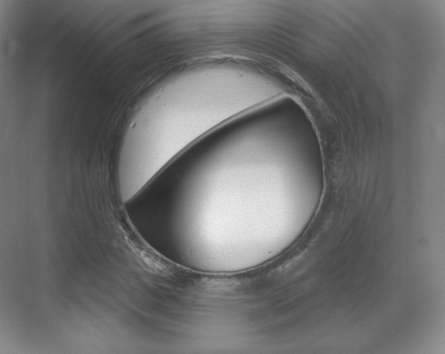 X0000070240825200606020930