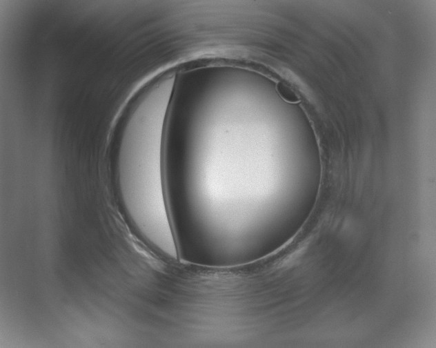 X0000070240830200606020930