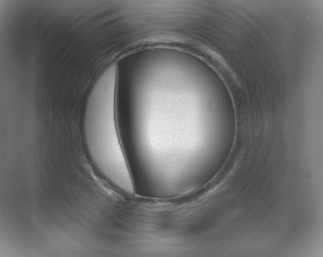 X0000070240833200606020930