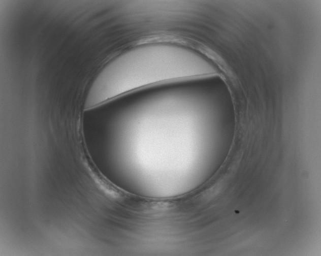 X0000070240841200606020930