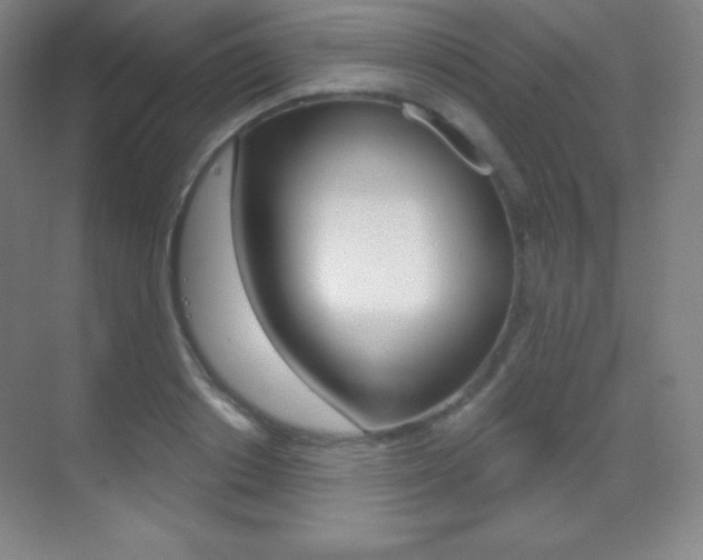 X0000070240842200606020930