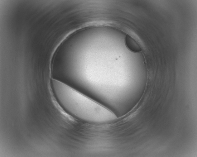 X0000070240844200606020931