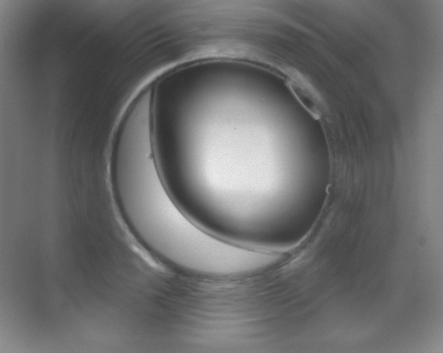 X0000070240846200606020931
