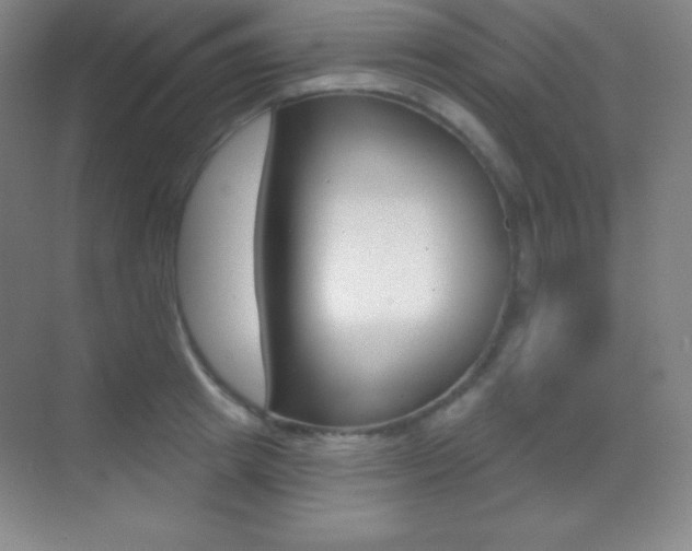 X0000070240849200606020931