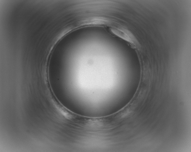 X0000070240850200606020931