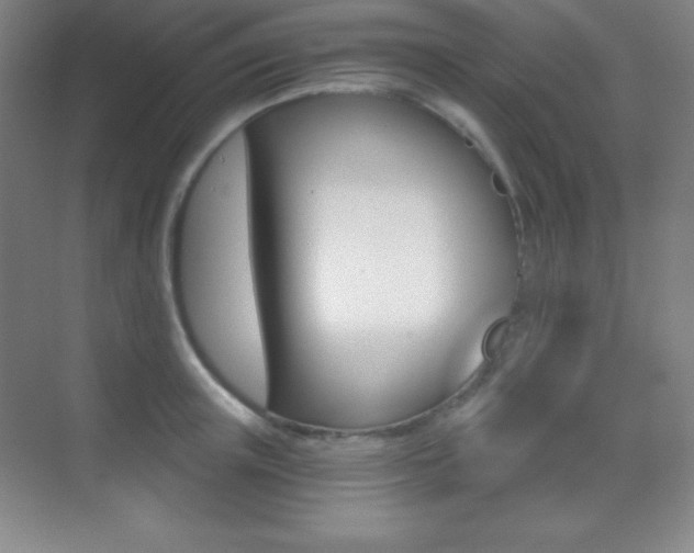 X0000070240851200606020931
