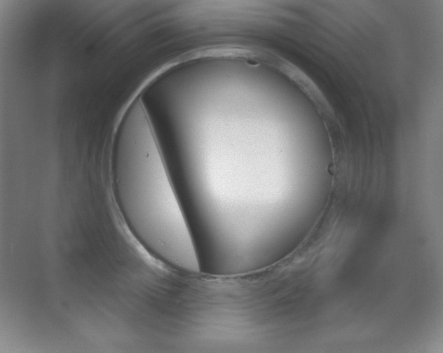 X0000070240852200606020931