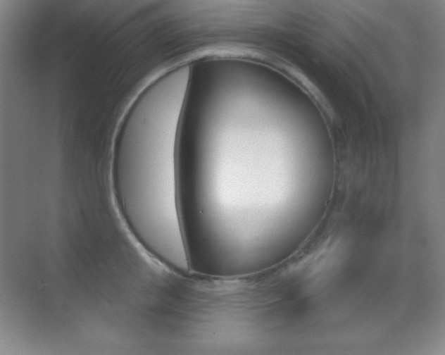 X0000070240853200606020931