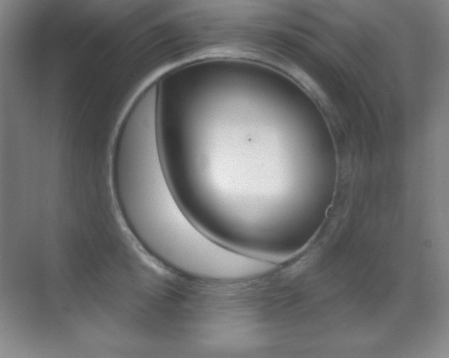 X0000070240854200606020931