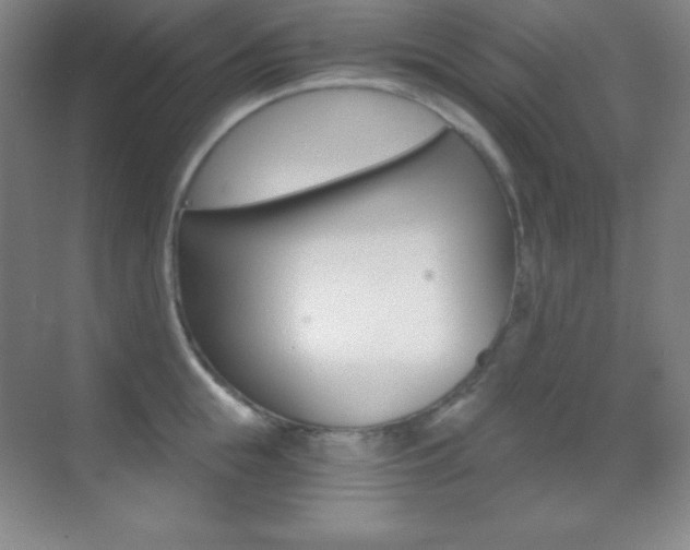 X0000070240855200606020931