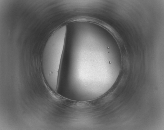 X0000070240857200606020931