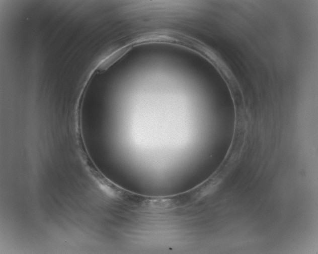 X0000070240858200606020931