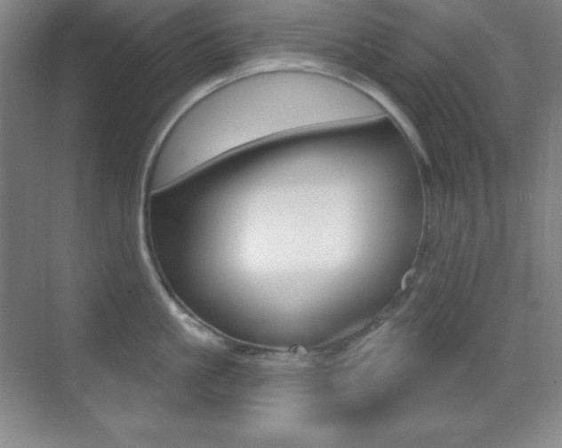 X0000070240861200606020931