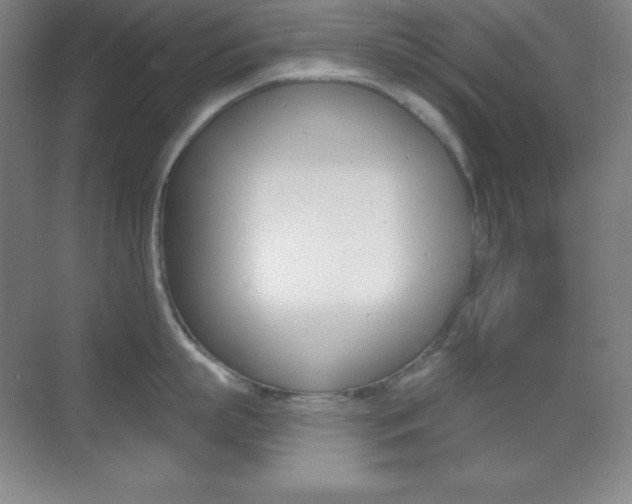 X0000070240863200606020931