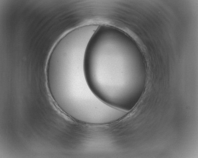 X0000070240864200606020931