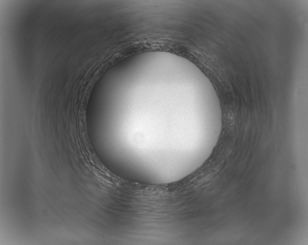X0000070240865200606020930