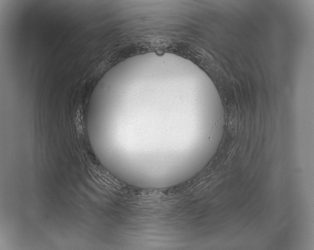 X0000070240866200606020930