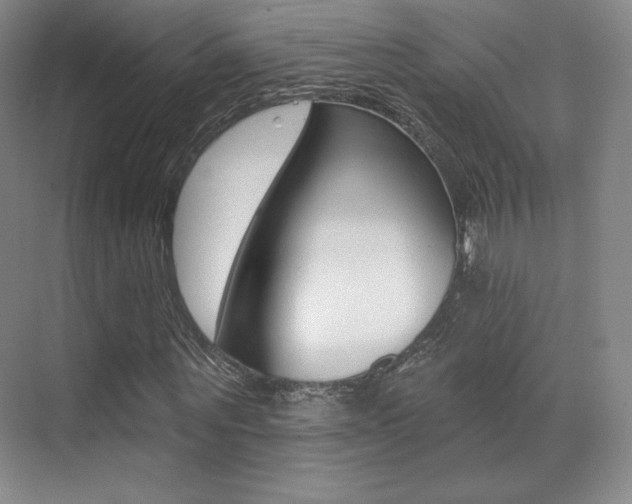 X0000070240867200606020930
