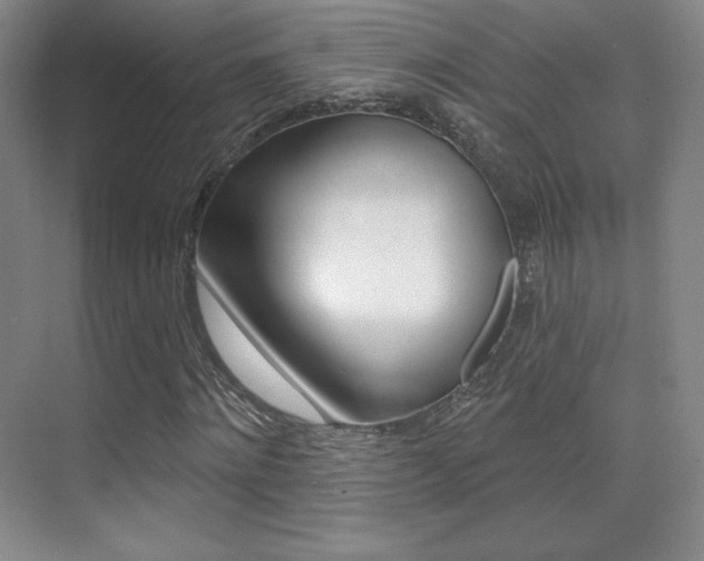X0000070240868200606020930