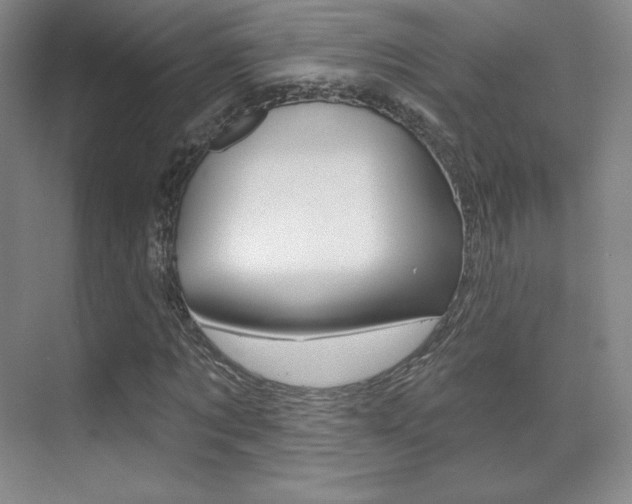 X0000070240869200606020930