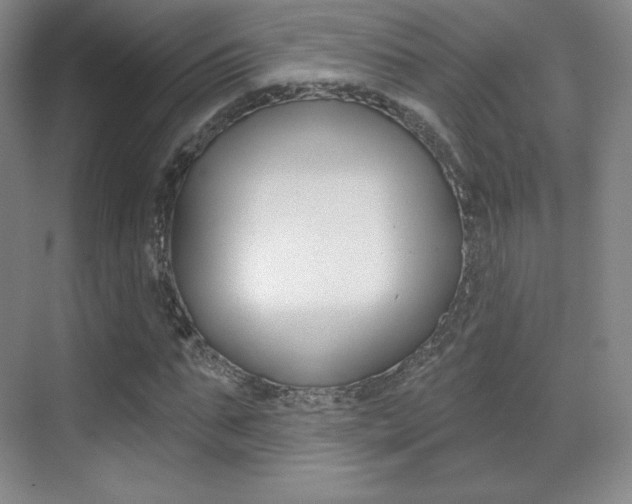 X0000070240871200606020930