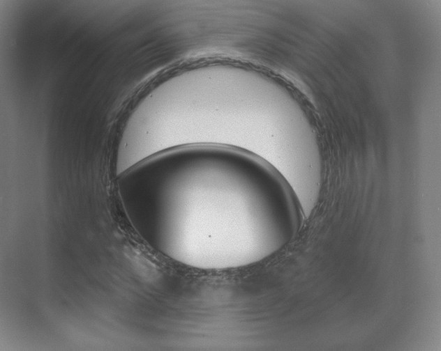 X0000070240872200606020930