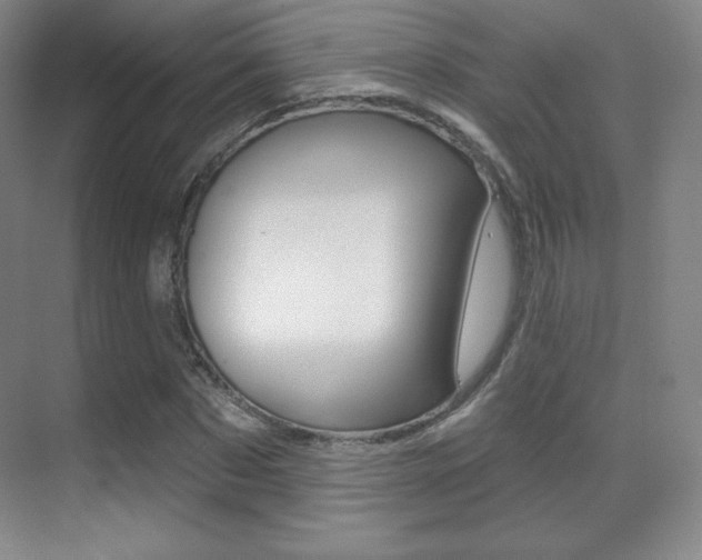 X0000070240873200606020930