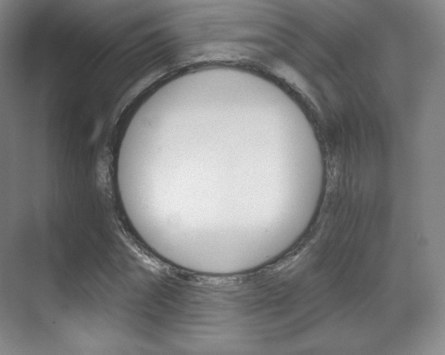 X0000070240874200606020930
