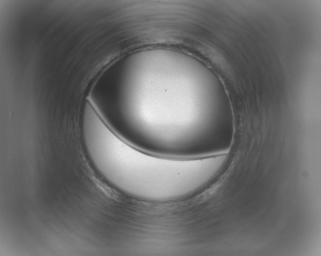 X0000070240881200606020930