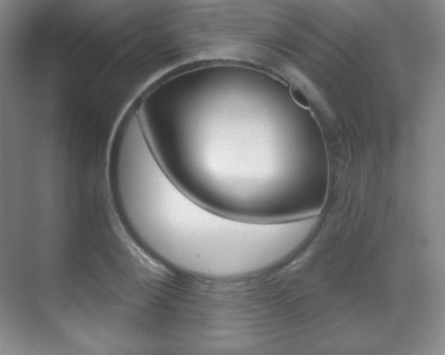 X0000070240884200606020930