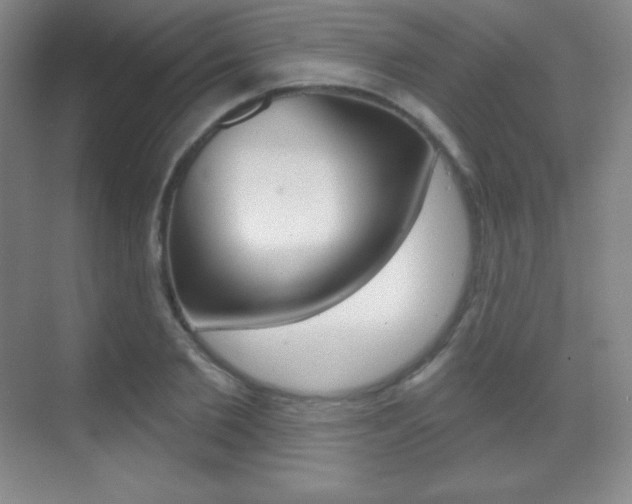X0000070240885200606020930