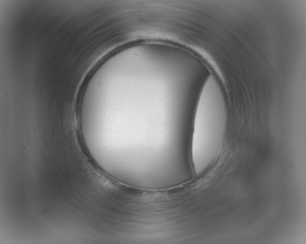 X0000070240887200606020930