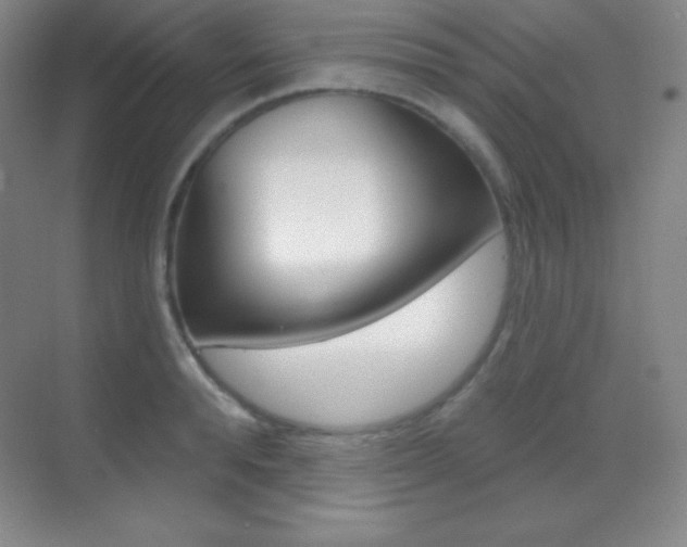 X0000070240896200606020930