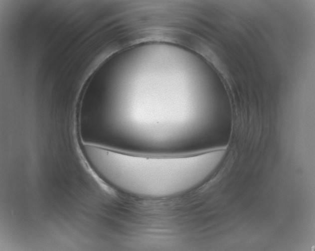 X0000070240898200606020929