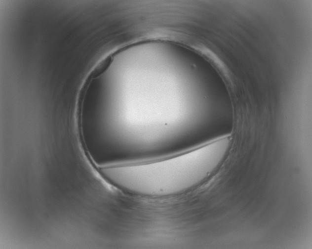 X0000070240902200606020929