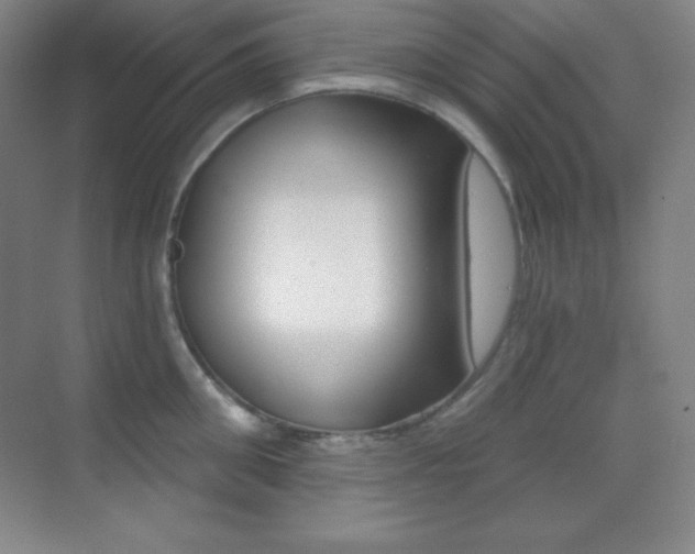 X0000070240906200606020929