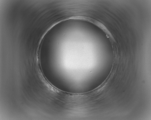 X0000070240908200606020929