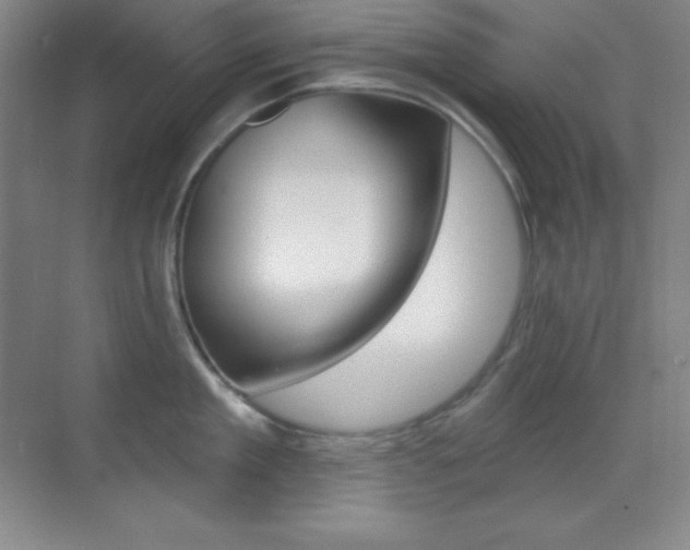 X0000070240909200606020929