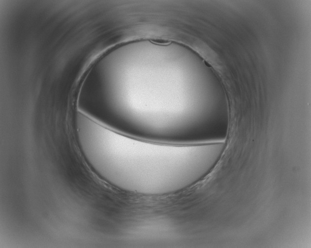 X0000070240912200606020929