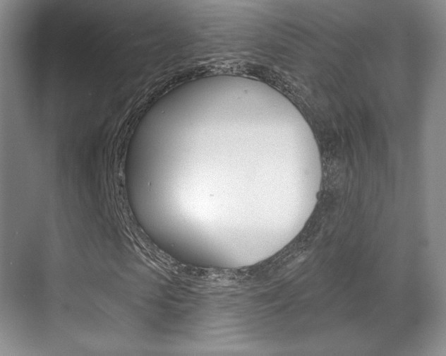X0000070240913200606020928