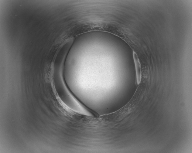 X0000070240916200606020928