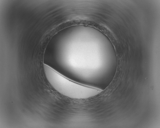X0000070240919200606020929