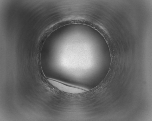 X0000070240920200606020929